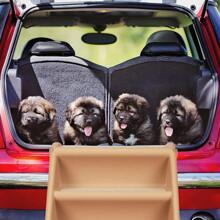 Dog Stairs & Steps - Mehrfarbig - View 2