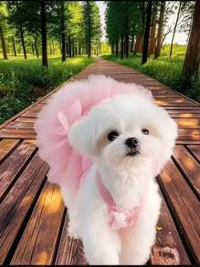 1pc Elegant Ballet Tulle Dress Pet Dog Clothes, Princess Dress Sleeveless Romantic Party Outfit, Suitable For Small Dogs, Cats, Cool Spring/Summer