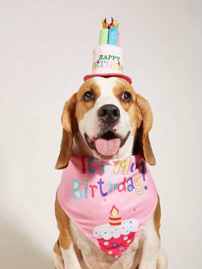 مجموعة اكسسوارات حفلة عيد ميلاد الحيوانات الأليفة تشمل قبعة وربطة عنق عيد الميلاد للحيوانات الأليفة، 2 قطعة