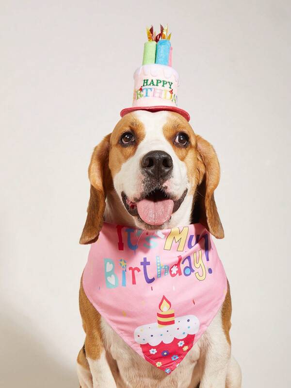 2 pièces Ensemble d'accessoires pour fête d'anniversaire d'animal de compagnie comprenant un chapeau d'anniversaire et un bandana pour animal de compagnie