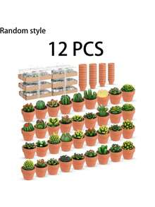 6/12/18件多肉植物蜡烛装饰,独特的茶蜡烛,手工淋浴蜡烛,装饰性植物蜡烛,带迷你陶土烛台,婚礼 - 彩色 - 查看 12