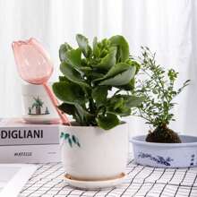 1pc/2pcs Tulip Shaped Plant Waterer, PVC Material Durable Scratch-Resistant Simple Automatic Plant Watering Device