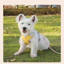 1pc 1.5M Dog Leash, Shockproof Chain Dog Traction Rope, Anti-Escape For Medium/Large Dogs