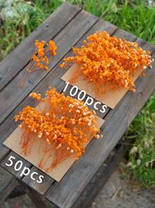 Orange Baby's Breath