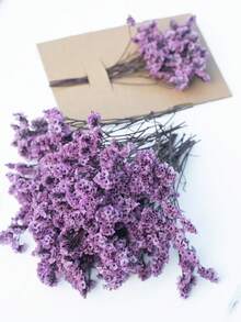 50/100/300pcs Natural Dried Baby's Breath Flower - Elegant Preserved Baby's Breath, Suitable For Home, Office, Wedding, Christmas, Halloween Party, Handmade Crafts Maintenance-Free, Suitable For 14+ Years Old (No Paper Card) - Purple Crystal Grass - View 5
