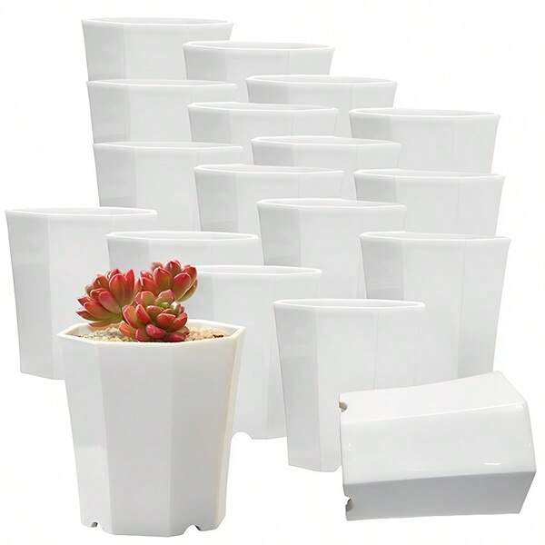 10 piezas de 7 cm Maceta octagonal blanca para plantas, maceta de vivero para plantas de mesa, maceta pequeña para plantas suculentas, decoración de plantas de balcón, oficina y escritorio, decoración del hogar, jarrón, decoración de habitación, jarrón de flores, jarrón de vidrio