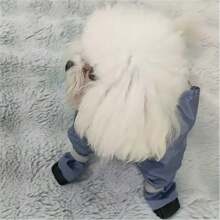 Simple Versatile Full Body Pet Dog Pants, Cover Belly And Legs, Dust-Proof For Outings, Suitable For Teddy, Poodle Breeds