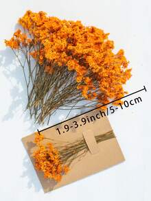 50/100/300pcs Natural Dried Baby's Breath Flowers - Elegant Preserved Baby's Breath, Suitable For Home, Office, Wedding, Christmas, Halloween Party, Handcraft Maintenance-Free, Suitable For 14+ Years Old (No Paper Card),Halloween Decor Home Decor Halloween Decor Fall Decor Room Decor - Orange Crystal Grass - View 7