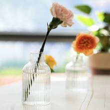 1 pezzo Vaso di lusso decorativo a righe, vaso idroponico in vetro per fiori freschi come rose, adatto per il soggiorno, senza fiori inclusi