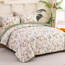 DJY 3 Pieces Queen King Size Gradient Aqua Flower Pattern Bedspread Coverlet For All Season,Soft Lightweight Microfiber Bedding Set,Wedding Items,Valentines Day Home Bed Room Decor,Easter Gifts,Mothers Day Gift,All Season - Xanh lá cây có thể đảo ngược - Xem 2