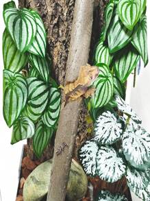 Reptile Plants For Terrariums, Amphibian Habitat Decorations, Artificial Hanging Plants With Suction Cups, Artificial Plants For Gecko Color-Changing Dragon Snake Turtle Tank Accessories