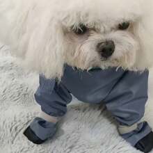 Simple Versatile Full Body Pet Dog Pants, Cover Belly And Legs, Dust-Proof For Outings, Suitable For Teddy, Poodle Breeds