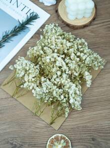 Green Stem White Baby's Breath