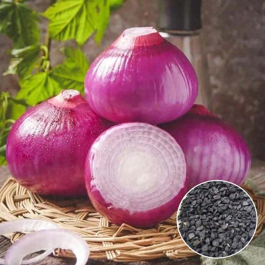 100pcs Onion Seeds Vegetable Seeds Balcony Can Be Planted Inside And Outside The Onion - 100 Capsules - View 1