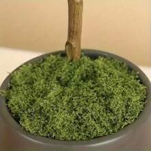 200 G Artificial Moss For Crafts, Artificial Moss For Decorating, Moss Decoration, Art Moss, Fake Moss Aesthetic Decoration Easter For Wall, Nativity Scene, Aquarium, Model Making (100 G Dark Green +