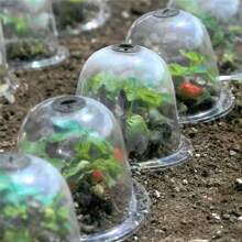 Reusable Plant Cover Greenhouse Garden Vegetable Flower Seedling Protection Cover