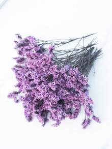 50/100/300pcs Natural Dried Baby's Breath Flower - Elegant Preserved Baby's Breath, Suitable For Home, Office, Wedding, Christmas, Halloween Party, Handmade Crafts Maintenance-Free, Suitable For 14+ Years Old (No Paper Card) - Purple Crystal Grass - View 4