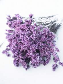 50/100/300pcs Natural Dried Baby's Breath Flower - Elegant Preserved Baby's Breath, Suitable For Home, Office, Wedding, Christmas, Halloween Party, Handmade Crafts Maintenance-Free, Suitable For 14+ Years Old (No Paper Card) - Purple Crystal Grass - View 3