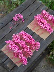 50/100/300pcs Natural Dried Baby's Breath Flowers - Elegant Preserved Baby's Breath, Suitable For Home, Office, Wedding, Christmas, Halloween Party, Handicrafts, Maintenance-Free, Appropriate For Ages 14+ - Baby Pink - View 3