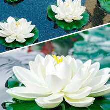 1pc/2pcs Artificial Floating Foam Lotus Flower & Leaf Decor, Lotus Flower Petals, Fake Lotus Plant, Suitable For Ponds, Aquariums, Stages, Realistic Lotus Leaves, Green Plants, Ideal For Fish Pond Miniature Landscape, Home Garden Pool Decor, Holiday Gift