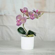 1pc Real Touch Artificial Butterfly Orchid With Vase - Ideal For Home Office Decor, Party Wedding Decoration And Room/Home Decor - Potted Plant