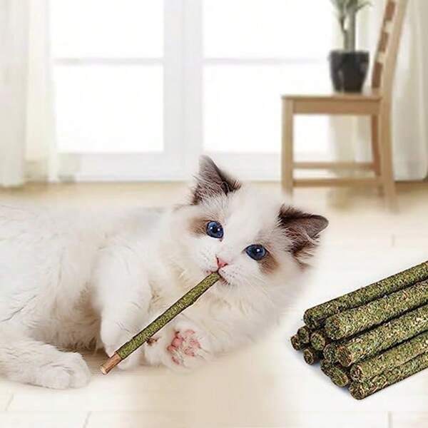 12 stuks kattenkruidstokjes, kattenkruidspeelgoed voor katten, speelgoed voor doorkomende tandjes, kauwspeeltje voor katten, tanden schoon kauwen voor katten, natuurlijke houten stokjes voor katten om te spelen en te ontspannen