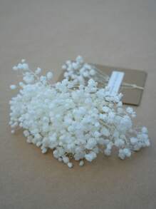 Bleached Baby's Breath