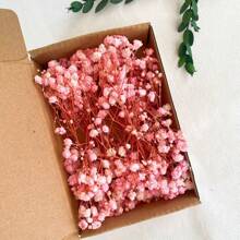 100 pezzi di fiori essiccati vivaci di Gypsophila (Fiore della Nuvola), confezione all'ingrosso - rami naturali di Gypsophila in colori assortiti, adatti come riempitivi per vasi, matrimoni, decorazioni per la casa e da tavolo | Perfetti per progetti fai-da-te, feste e regali