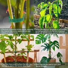 100 pièces Attaches végétales en nylon réutilisables de 15 cm avec fermeture auto-agrippante, vertes, convenant aux plantes grimpantes, pour le soutien et les applications de jardinage, outil d'entretien de jardin | Fixation sécurisée