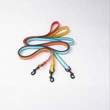 New Waterproof, Durable, Easy To Clean Pet Leash Made With Dual-Color PVC, High Visibility