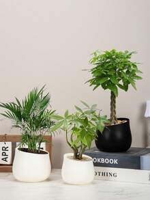 1 件白色陶瓷外观小号塑料花盆，奶油色纯色室内装饰花盆，适合种植人造多肉植物或切花，适用于客厅、办公室、阳台 - 彩色 - 查看 11