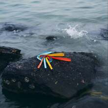 New Waterproof, Durable, Easy To Clean Pet Leash Made With Dual-Color PVC, High Visibility