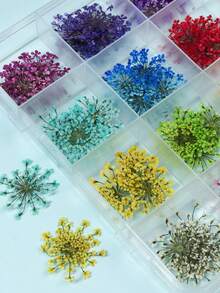 48 Flowers/Box Colorful Natural Dried Flowers DIY Epoxy Resin Mould Filling Material, Jewelry Casting Supplies, & Summer DIY Craft - Multicolor - View 2