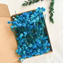 100 pezzi di fiori essiccati vivaci di Gypsophila (Fiore della Nuvola), confezione all'ingrosso - rami naturali di Gypsophila in colori assortiti, adatti come riempitivi per vasi, matrimoni, decorazioni per la casa e da tavolo | Perfetti per progetti fai-da-te, feste e regali