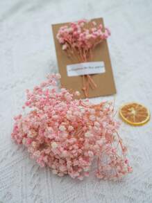 Light Pink Baby's Breath