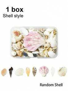 1/2 Box Natural Mixed Ocean Shells, Beach Vacation Conch Starfish Shells Various Beach Decoration Crafts Fish Tank Vase Decoration, Suitable For Arts And Crafts Projects - Natural Shells - View 12