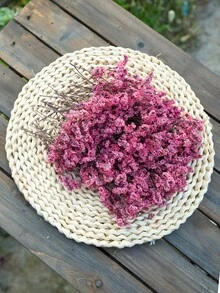 (In Box) 50/100 Pcs White Artificial Mini Dried Baby's Breath Flowers, Everlasting Bouquet For Wedding, Home, Office, Party, Garden, Card Making, DIY Decor