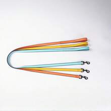 New Waterproof, Durable, Easy To Clean Pet Leash Made With Dual-Color PVC, High Visibility