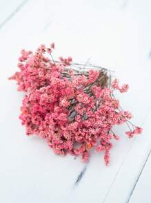 Pink Crystal Grass