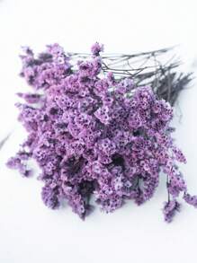 Purple Crystal Grass