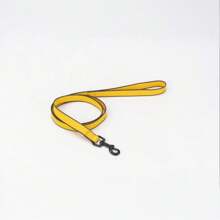 New Waterproof, Durable, Easy To Clean Pet Leash Made With Dual-Color PVC, High Visibility