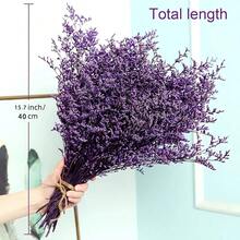 10/20pcs Vivid Dried Flowers - Suitable For DIY Craft, Home Decor And Gifts - Multicolor Everlasting Straw Flower Bouquet, For Photo Frame, Vase, Party Decor And Holiday Gifting - Long-Lasting Wooden Stem Design, Suitable For Thanksgiving, Mother's Day And Valentine's Day - Purple - View 1