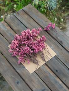 (In Box) 50/100 Pcs White Artificial Mini Dried Baby's Breath Flowers, Everlasting Bouquet For Wedding, Home, Office, Party, Garden, Card Making, DIY Decor