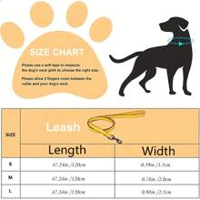 New Waterproof, Durable, Easy To Clean Pet Leash Made With Dual-Color PVC, High Visibility