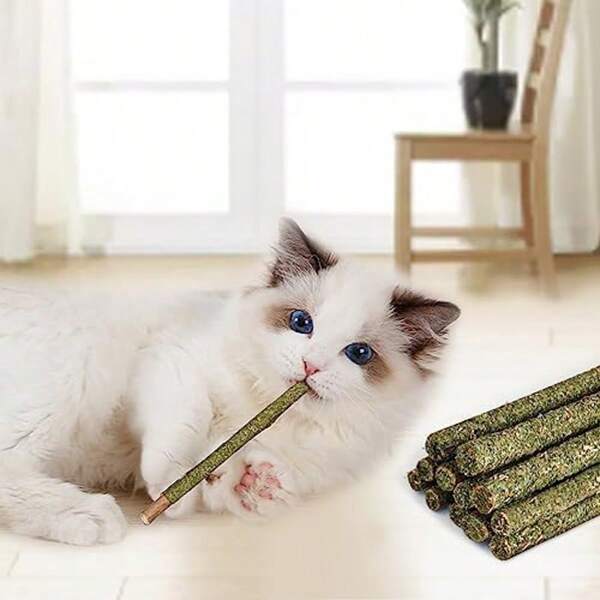 12PCS Cat Catnip Sticks, Catnip Toys For Cats Teething Toys, Cat Chew Toy, Teeth Clean Chewing Grindin For Cat Kitten Kitty, Natural Wood Sticks For Cats Play And Relax
