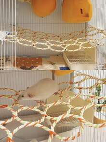 1 pieza Juguete de red y cuerda de escalada para ratas para jaula, percha de cuerda, columpio, puente de cuerda, hamaca colgante, juguete de actividad para animales pequeños como ratones, ratones, loros, pájaros (color aleatorio) - Multicolor - Ver 6
