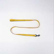 New Waterproof, Durable, Easy To Clean Pet Leash Made With Dual-Color PVC, High Visibility