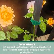 100 pièces Attaches végétales en nylon réutilisables de 15 cm avec fermeture auto-agrippante, vertes, convenant aux plantes grimpantes, pour le soutien et les applications de jardinage, outil d'entretien de jardin | Fixation sécurisée