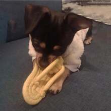 1 Pet Dog Polyester Rope Slipper Toys, With Knot Design For Grinding Teeth, Cleaning, And Training Functions, Simulating The Shape Of Real Slippers, Providing Long-Lasting Chewing And Entertainment Experience For Dogs And Cats (Random Color)