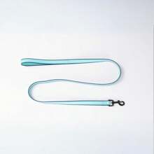 New Dual-Sided Colored PVC Waterproof, Durable And Easy To Clean Pet Leash, With High Visibility